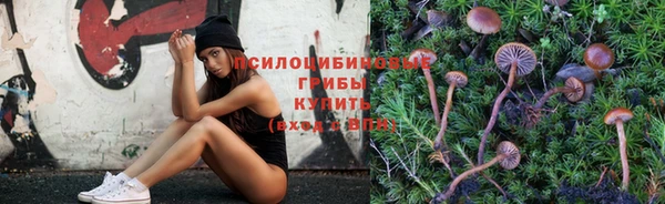 бутират Аркадак