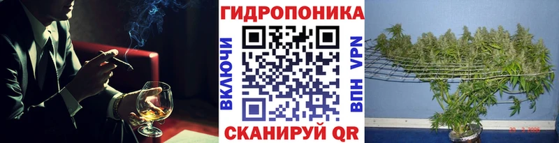 где можно купить   Межгорье  Канабис LSD WEED 